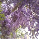 금사초등학교 이미지