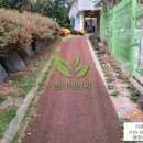 숲속반디어린이집 이미지