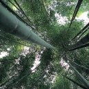 호남여인숙 이미지