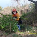 청산별곡 이미지