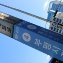 태평양볼테기 이미지