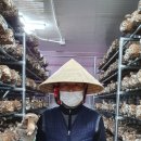 안터마을 영농조합법인 동양일보