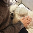 씨유청양덕윤타워점 | 01