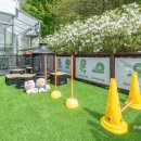 가평 댕댕이 애견 풀빌라 펜션 블루 이미지