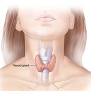 연세윤내과의원 이미지