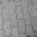 심당어린이집 이미지