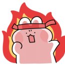 정경아메디요가