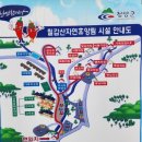 숲속의야영장 이미지