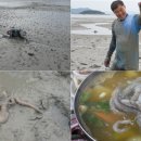 신안갯벌낙지식당 이미지