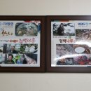 쭈꾸미나루 이미지