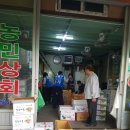 성실야채청과