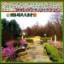 대지정공(주) | 夫休字休休號三休堂配■先妣原州元氏家狀■