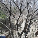 마하사 - 1631 | 마하사