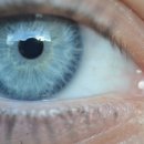 김콘택트렌즈 이미지