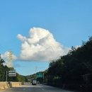 해금반점 | 2주 단식 절대 금지