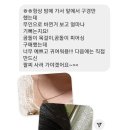 썸디 이미지
