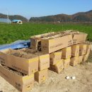 구미농장 이미지