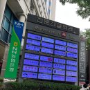 행복용품9988 | 서울국제정원박람회 보라매공원에서 초록빛 힐링 여행!