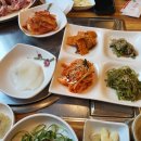 만경오리