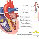 아침빛한의원 이미지