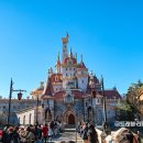 주식회사 댕아일랜드 | 도쿄 디즈니랜드 티켓 불꽃놀이 야간 퍼레이드 시간