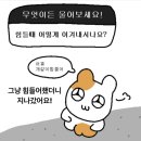 무지개카페 - 세종특별자치시 죽림로 25 | 무지개카페