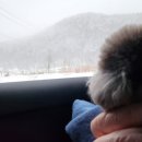 여주 다리원 애견독채팬션 이미지