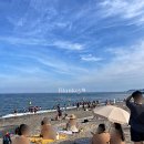 관성 | 경주 관성 해수욕장 추천 관성솔밭해변 차박부터 주차까지 후기