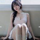 맥심핏