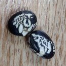 우리집손두부 이미지