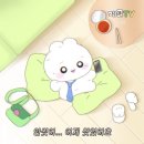 사바사바 이미지