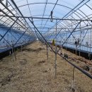 샤인하우스 가동 이미지