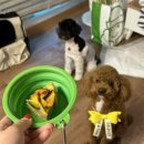 와우펜션3 이미지