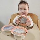 11 | 후기이유식 로하스밀 11개월 시판이유식.