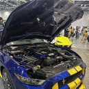 오토쉴드 이미지