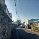 대정1리 이미지