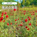 파주 율곡수목원 입장료 무료 둘레길 구절초 단풍 주말 방문 후기