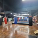 세계 복싱 체육관 이미지