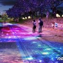 월계천1 이미지