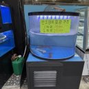 광우네세꼬시