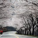 화개119지역대 이미지