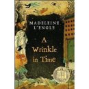 Wed.January 15th. Reading the book[A wrinkle in time] 이미지