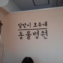 달맞이 호두네 동물병원 이미지