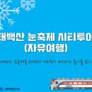 태백 관광지 투어 이미지