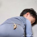 렙플로우 | 시흥 파충류 분양 목감 렙플로우 방문후기 크리스티드게코 분양 키우는 법