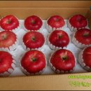 가을농원 이미지