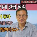 급등 중인 불경기 최고 직업 전국 개인택시 7월 중순 시세 긴급 분석, 번호값, 수입, 가성비 최고 이미지