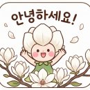 자연아이발트슐레어린이집 | 릴레이 인터뷰#11_구름산발 도르프 어린이집 1년 후기_알밤