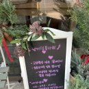 웰커밍플라워 | 분당 꽃집, 판교대장동 꽃집 추천 [웰커밍플라워]
