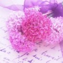 그대 안에그대 이미지